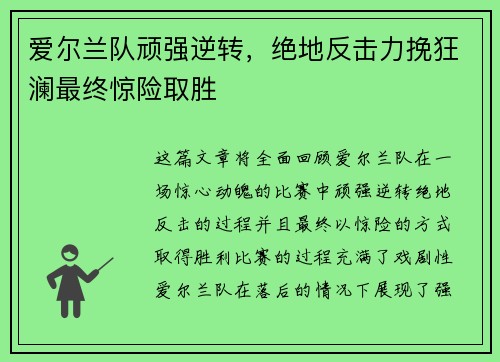 爱尔兰队顽强逆转，绝地反击力挽狂澜最终惊险取胜